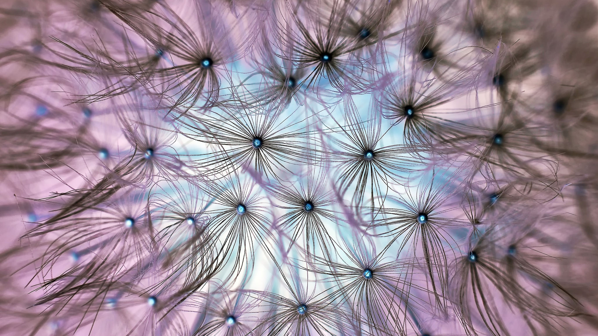 Refresh Recharge Regroup Remember